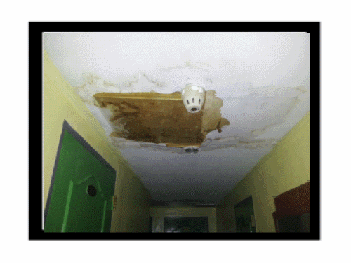 new_2012-06-20 18.07.26.gif